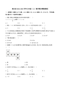 河北省保定市涞水县2022-2023学年七年级上学期期末模拟测试数学试卷(含解析)