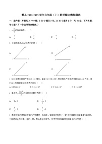 河北省沧州市献县2022-2023学年七年级上学期期末模拟测试数学试卷(含解析)