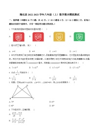 河北省承德市隆化县2022-2023学年八年级上学期期末模拟测试数学试卷(含解析)