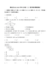 河北省承德市隆化县2022-2023学年七年级上学期期末模拟测试数学试卷(含解析)