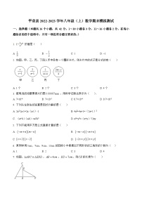 河北省承德市平泉县2022-2023学年八年级上学期期末模拟测试数学试卷(含解析)