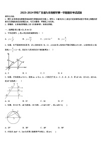 2023-2024学年广东省九年级数学第一学期期末考试试题