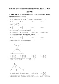 广东省深圳市宝安区振兴学校2023-2024学年九年级上学期期中数学试卷