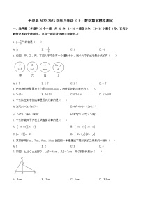 河北省承德市平泉县2022-2023学年八年级上学期期末模拟测试数学试卷+