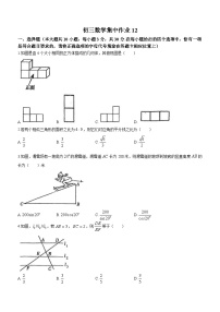 江苏省南通田家炳中学通州湾分校2023-2024学年九年级上学期12月月考数学试题(无答案)