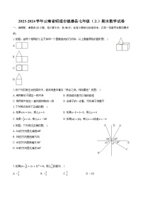 2023-2024学年云南省昭通市镇雄县七年级（上）期末数学试卷（含解析）