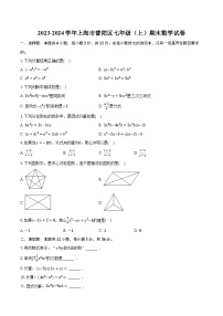 2023-2024学年上海市普陀区七年级（上）期末数学试卷（含解析）