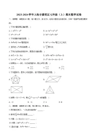 2023-2024学年上海市普陀区七年级（上）期末数学试卷（含解析）