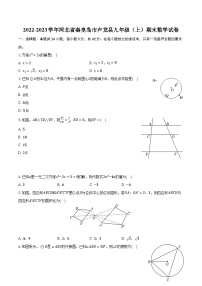 2022-2023学年河北省秦皇岛市卢龙县九年级（上）期末数学试卷（含解析）