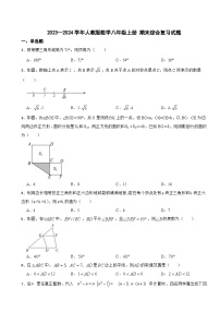 人教版数学2023—2024学年八年级上册 期末综合复习试题