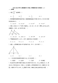 人教版数学2023-2024学年八年级上学期期末复习训练卷(二)