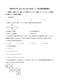 河北省邯郸市丛台区2022-2023学年七年级上学期期末模拟测试数学试卷(含解析)