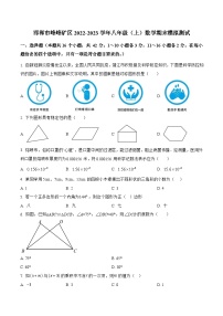 河北省邯郸市峰峰矿区2022-2023学年八年级上学期期末模拟测试数学试卷(含解析)