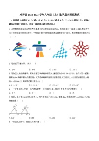 河北省邯郸市鸡泽县2022-2023学年八年级上学期期末模拟测试数学试卷