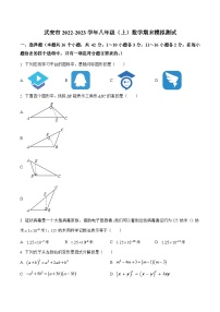 河北省邯郸市武安市2022-2023学年八年级上学期期末模拟测试数学试卷(含解析)