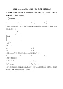 河北省廊坊市永清县2022-2023学年七年级上学期期末模拟测试数学试卷(含解析)