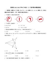 河北省秦皇岛市昌黎县2022-2023学年八年级上学期期末模拟测试数学试卷(含解析)