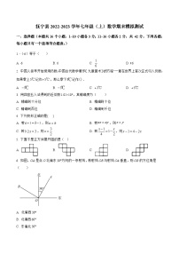 河北省秦皇岛市抚宁县2022-2023学年七年级上学期期末模拟测试数学试卷(含解析)