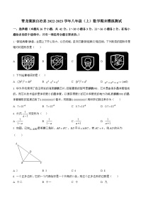 河北省秦皇岛市青龙满族自治县2022-2023学年八年级上学期期末模拟测试数学试卷