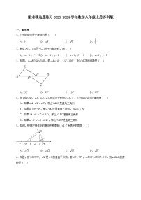 苏科版2023-2024学年度上学期八年级期末精选数学练习卷（含解析)