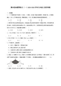 期末经典题型练习（一）2023-2024学年九年级上册苏科版（含解析）