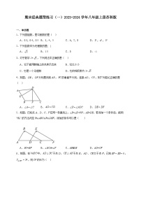 期末经典题型练习（一）2023-2024学年八年级上册苏科版（含解析）