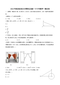 2024年陕西省西安市雁塔区高新一中中考数学一模试卷（含解析）