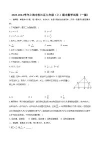 2023-2024学年上海市松江区九年级（上）期末数学试卷（一模）（含解析）