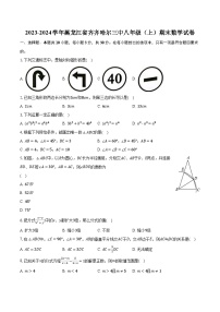 2023-2024学年黑龙江省齐齐哈尔三中八年级（上）期末数学试卷（含解析）