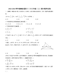 2023-2024学年湖南省岳阳十二中八年级（上）期中数学试卷（含解析）