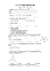 湖南省娄底市第二中学2023--2024学年八年级上学期期末数学模拟试卷