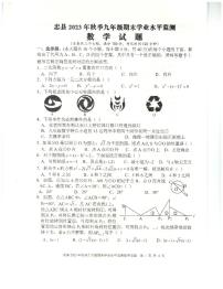 重庆市忠县2023-2024学年九年级上学期期末学业水平监测数学试题