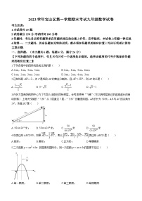 上海市宝山区2023-2024学年九年级上学期期末数学试题（一模）