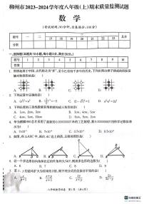 广西壮族自治区柳州市2023-2024学年八年级上学期1月期末数学试题