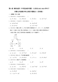 第8章 幂的运算（中考经典常考题）-江苏省2023-2024学年下学期七年级数学单元培优专题练习（苏科版）