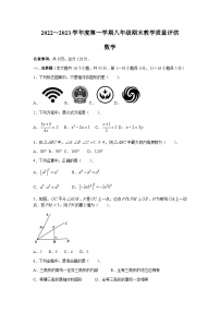 河北省邢台市临西县2022-2023学年八年级上学期期末教学质量评估数学试卷(含答案)