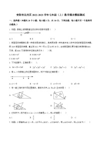 河南省安阳市北关区2022-2023学年七年级上学期期末模拟测试数学试卷(含答案)