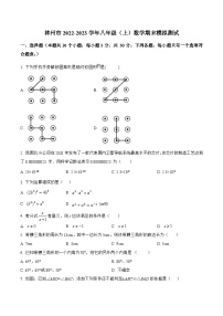 河南省安阳市林州市2022-2023学年八年级上学期期末模拟测试数学试卷(含解析)