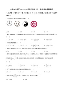 河南省安阳市文峰区2022-2023学年八年级上学期期末模拟测试数学试卷(含解析)