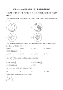 河南省开封市杞县2022-2023学年八年级上学期期末模拟测试数学试卷(答案不全)