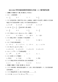 河南省洛阳市宜阳县2023-2024学年七年级上学期期中质量检测数学试卷(含解析)