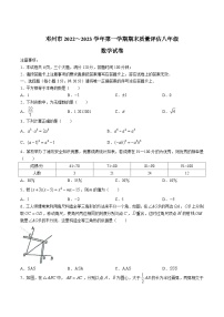 河南省南阳市邓州市2022-2023学年八年级上学期期末考试数学试卷(含答案)