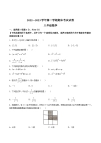 河南省濮阳市2022-2023学年八年级上学期期末考试数学试卷(含答案)