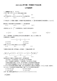 河南省濮阳市清丰县2023-2024学年七年级上学期期中考试数学试卷(含答案)