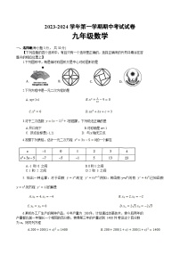 河南省濮阳市清丰县2024届九年级上学期期中考试数学试卷(含解析)