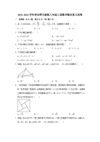 华东师大新版2023-2024学年八年级上册数学期末复习试卷(含答案)