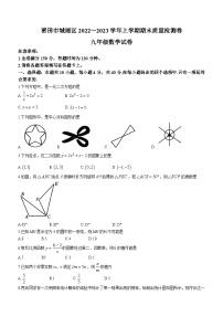 福建省莆田市城厢区2022-2023学年九年级上学期数学期末质量检测