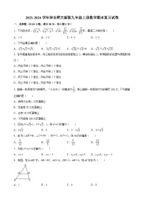 华东师大版2023-2024学年九年级上册数学期末复习试卷