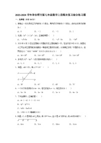 华东师大版2023-2024学年七年级数学上册期末复习综合练习题(含解析)