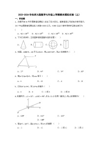 华东师大版2023-2024学年七年级数学数学七年级上册期末模拟试卷三(含答案)